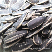 Chine exportation 2016 nouvelles graines de tournesol vente chaude